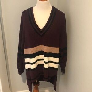 Express Striped V-neck Sweater